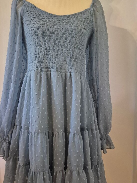 Altar'd State Dresses & Skirts - Altar'd State Oisin Babydoll Mini Dress Blue Smocked Swiss Dot Sheer Sleeve Boho